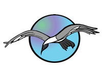 New Logo for Seagull Technologies Custom Support Services for Small Business