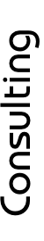 Tax Consulting Services
